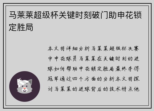 马莱莱超级杯关键时刻破门助申花锁定胜局
